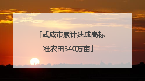 武威市累计建成高标准农田340万亩