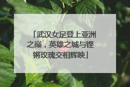 武汉女足登上亚洲之巅，英雄之城与铿锵玫瑰交相辉映