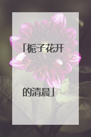 栀子花开的清晨