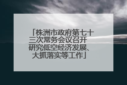 株洲市政府第七十三次常务会议召开 研究低空经济发展、大抓落实等工作