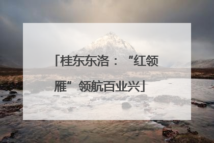 桂东东洛：“红领雁”领航百业兴