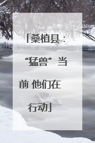 桑植县：“猛兽”当前 他们在行动