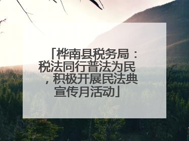 桦南县税务局：税法同行普法为民，积极开展民法典宣传月活动