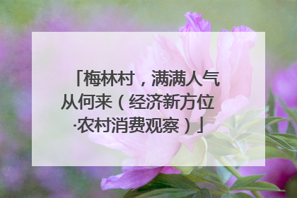 梅林村，满满人气从何来（经济新方位·农村消费观察）