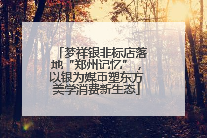 梦祥银非标店落地“郑州记忆”，以银为媒重塑东方美学消费新生态