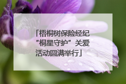 梧桐树保险经纪“桐星守护”关爱活动圆满举行