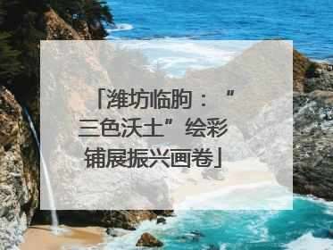 潍坊临朐：“三色沃土”绘彩铺展振兴画卷