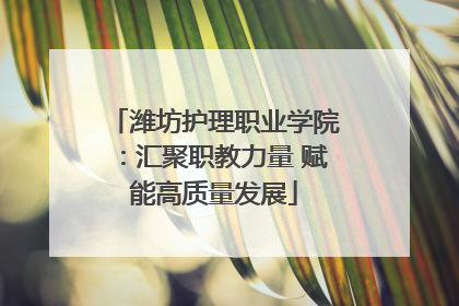 潍坊护理职业学院：汇聚职教力量 赋能高质量发展