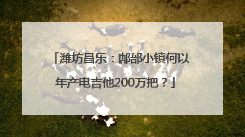 潍坊昌乐：鄌郚小镇何以年产电吉他200万把？
