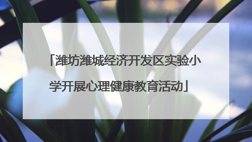 潍坊潍城经济开发区实验小学开展心理健康教育活动