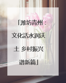潍坊青州：文化活水润沃土 乡村振兴谱新篇