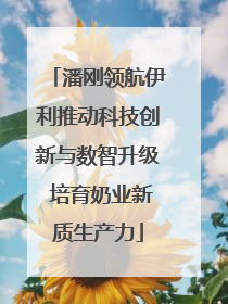 潘刚领航伊利推动科技创新与数智升级 培育奶业新质生产力