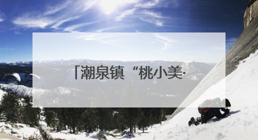 潮泉镇“桃小美·泉心办”助力梦幻桃花源项目扬帆起航
