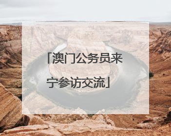 澳门公务员来宁参访交流