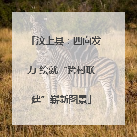 汶上县：四向发力 绘就“跨村联建”崭新图景