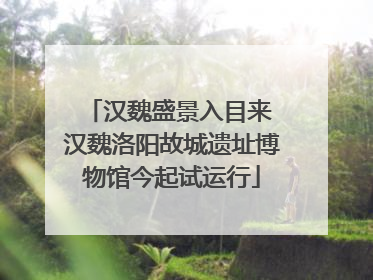 汉魏盛景入目来 汉魏洛阳故城遗址博物馆今起试运行