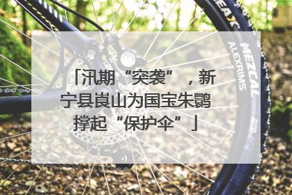 汛期“突袭”，新宁县崀山为国宝朱鹮撑起“保护伞”