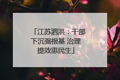 江苏泗洪：干部下沉强根基 治理提效惠民生