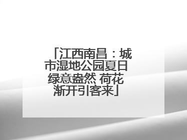江西南昌：城市湿地公园夏日绿意盎然 荷花渐开引客来