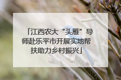 江西农大“头雁”导师赴乐平市开展实地帮扶助力乡村振兴