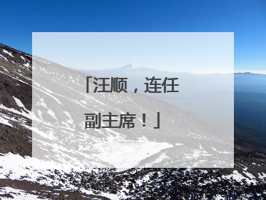 汪顺，连任副主席！