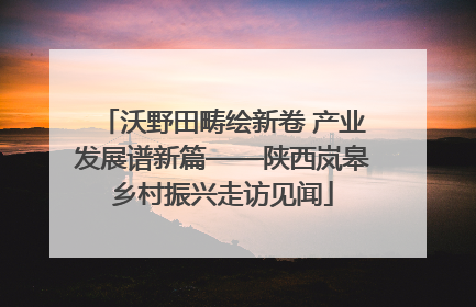沃野田畴绘新卷 产业发展谱新篇——陕西岚皋乡村振兴走访见闻
