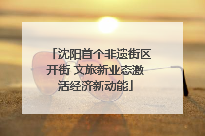 沈阳首个非遗街区开街 文旅新业态激活经济新动能