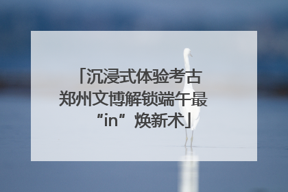 沉浸式体验考古 郑州文博解锁端午最“in”焕新术
