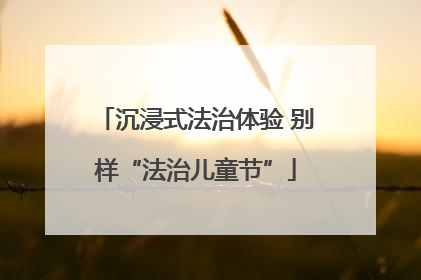 沉浸式法治体验 别样“法治儿童节”