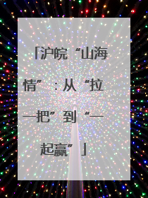 沪皖“山海情”：从“拉一把”到“一起赢”