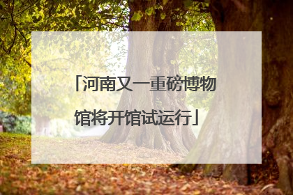 河南又一重磅博物馆将开馆试运行