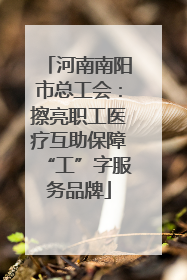 河南南阳市总工会：擦亮职工医疗互助保障“工”字服务品牌