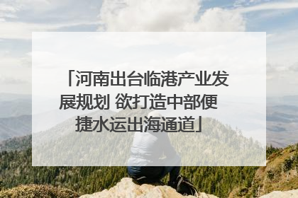 河南出台临港产业发展规划 欲打造中部便捷水运出海通道