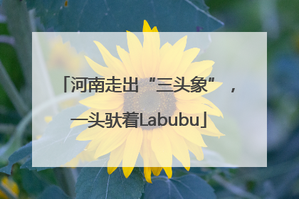 河南走出“三头象”，一头驮着Labubu