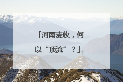 河南麦收，何以“顶流”？