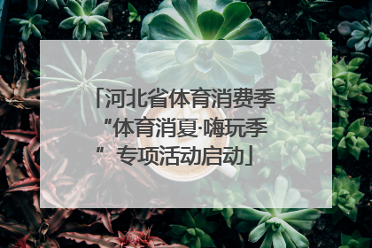 河北省体育消费季“体育消夏·嗨玩季”专项活动启动
