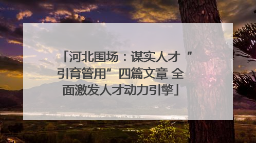 河北围场：谋实人才“引育管用”四篇文章 全面激发人才动力引擎