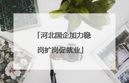 河北国企加力稳岗扩岗促就业
