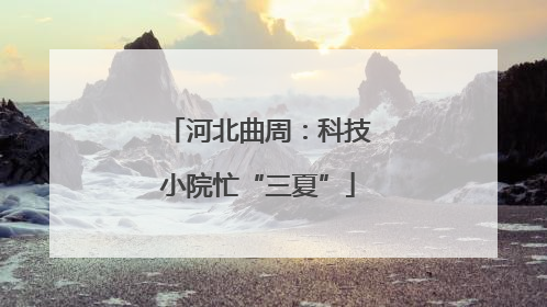 河北曲周：科技小院忙“三夏”