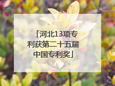 河北13项专利获第二十五届中国专利奖