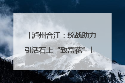 泸州合江：统战助力引活石上“致富花”