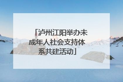 泸州江阳举办未成年人社会支持体系共建活动
