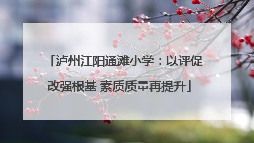 泸州江阳通滩小学：以评促改强根基 素质质量再提升