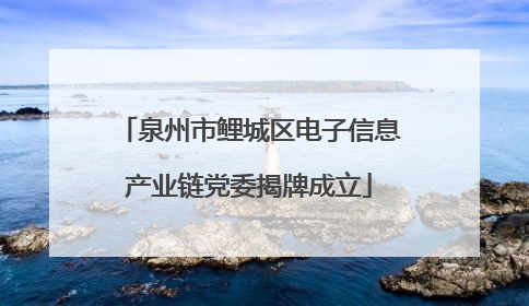 泉州市鲤城区电子信息产业链党委揭牌成立