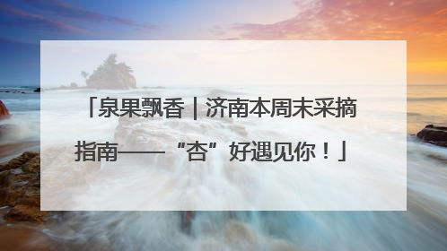 泉果飘香｜济南本周末采摘指南——“杏”好遇见你！