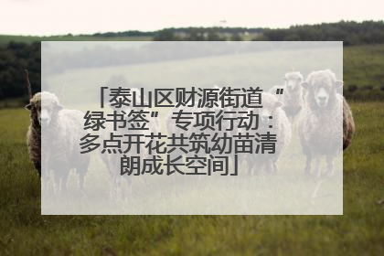 泰山区财源街道“绿书签”专项行动：多点开花共筑幼苗清朗成长空间