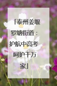 泰州姜堰罗塘街道：护航中高考 呵护千万家
