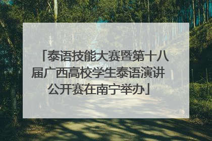 泰语技能大赛暨第十八届广西高校学生泰语演讲公开赛在南宁举办