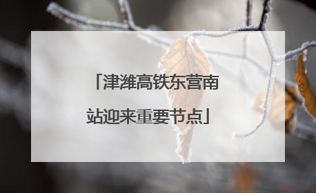 津潍高铁东营南站迎来重要节点