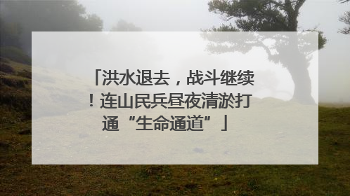 洪水退去，战斗继续！连山民兵昼夜清淤打通“生命通道”